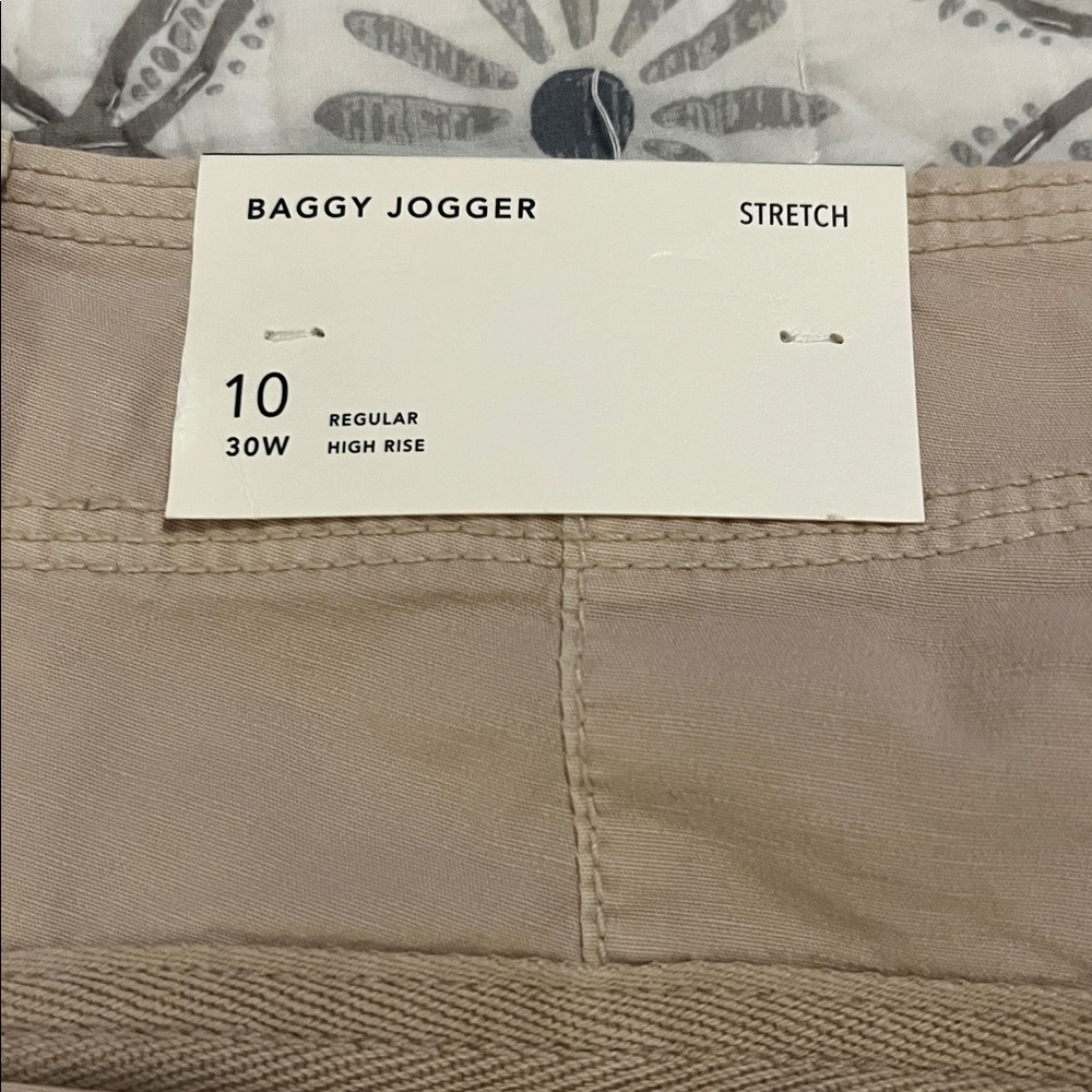 NWT American Eagle Outfitters Baggy Jogger cargo pants, size 10 Regular. - Picture 7 of 10